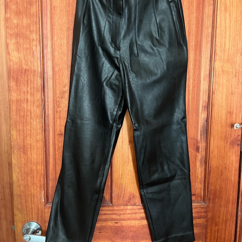 Express Leather Pants